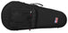 Gator Mandolin Lightweight Case